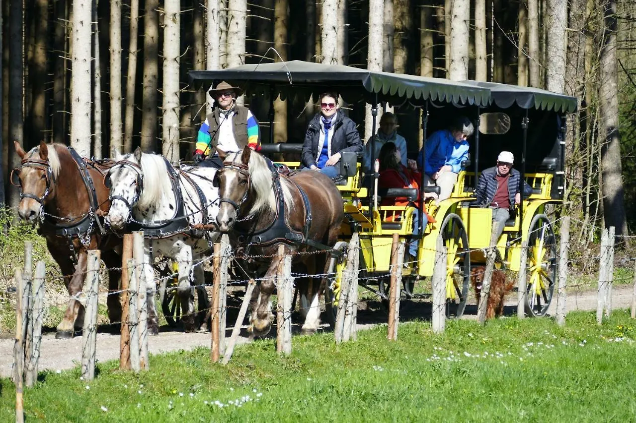 Hotel Alpenhof バート・ヴェリスホーフェン